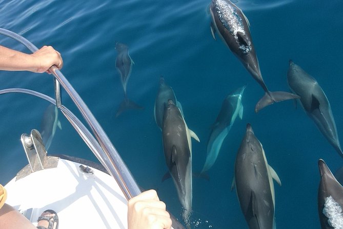 2 h Estepona Bay Tour - What to expect from the boat and refreshments