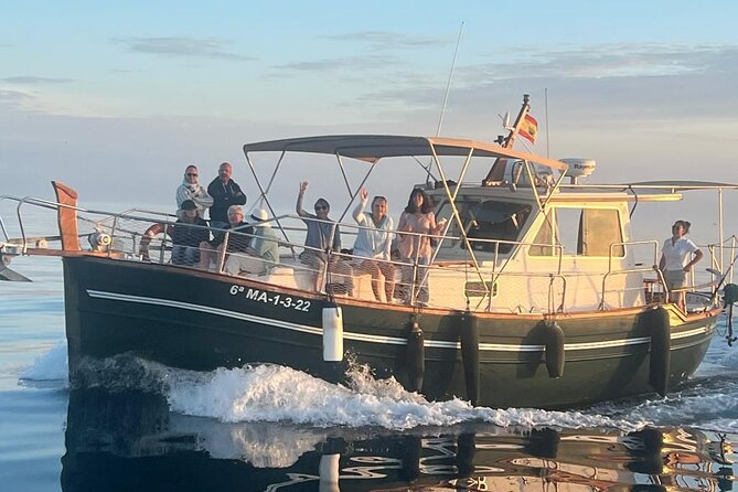2-Hour Excursion in Search of Dolphins/ Includes Drink and Snacks - A dolphin search, with no promise of a sighting