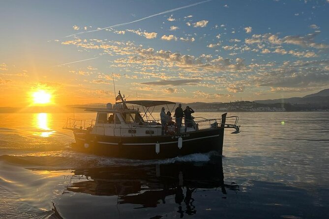 2-Hour Excursion in Search of Dolphins/ Includes Drink and Snacks - Starting at Estepona Marina