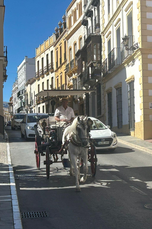 ab Marbella: Private VIP-Tour Ronda incl. Transfer + Tapas - A private drive from Marbella