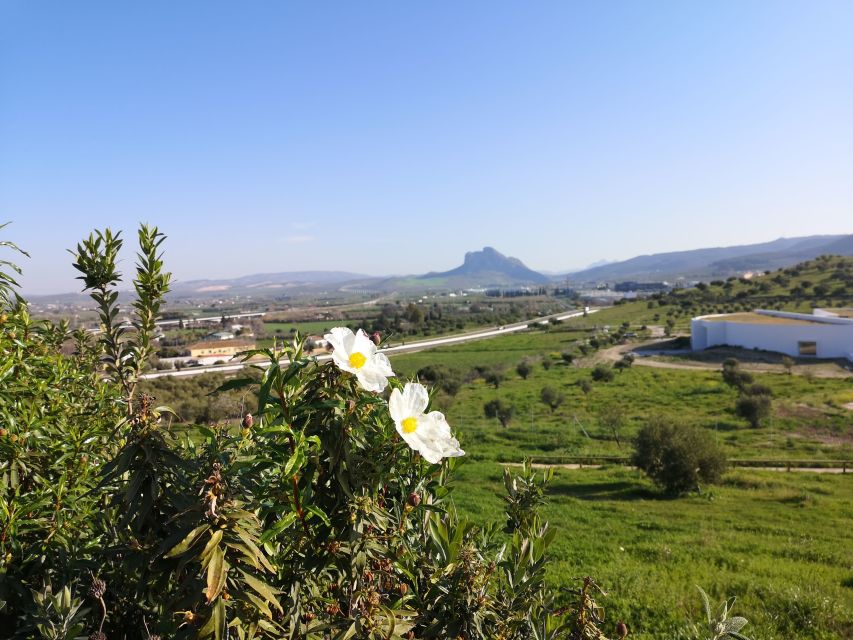 Antequera: Dolmens and El Torcal Tour with Transfer - Four hours, sensibly divided