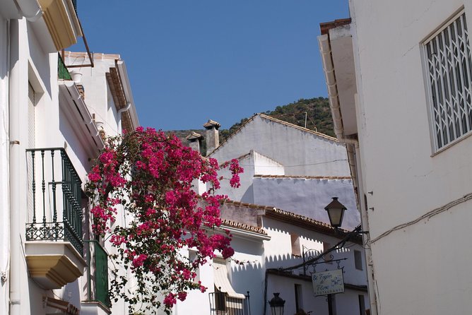 Authentic Andalusia - Jeep Eco Tour (pick up from Marbella - Estepona) - Who should book this day?