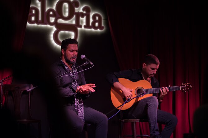 Authentic flamenco show. Alegria and gastronomy Malaga - The theatre’s intimacy has a trade-off