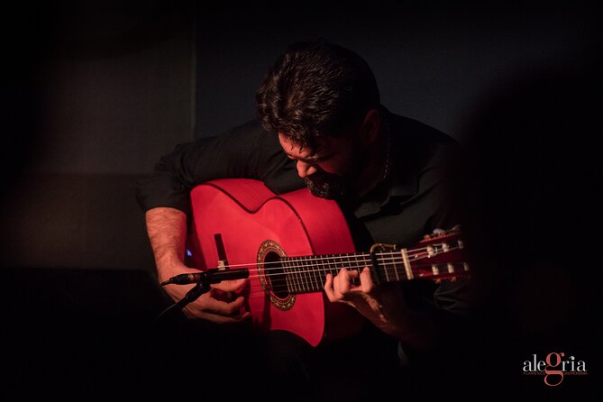 Authentic flamenco show. Alegria and gastronomy Malaga - What the performance feels like