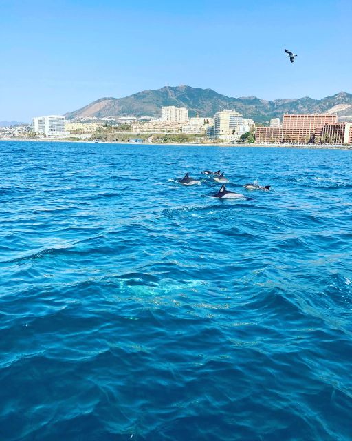 Benalmádena: Costa del Sol License-Free Boat Rental - FAQ