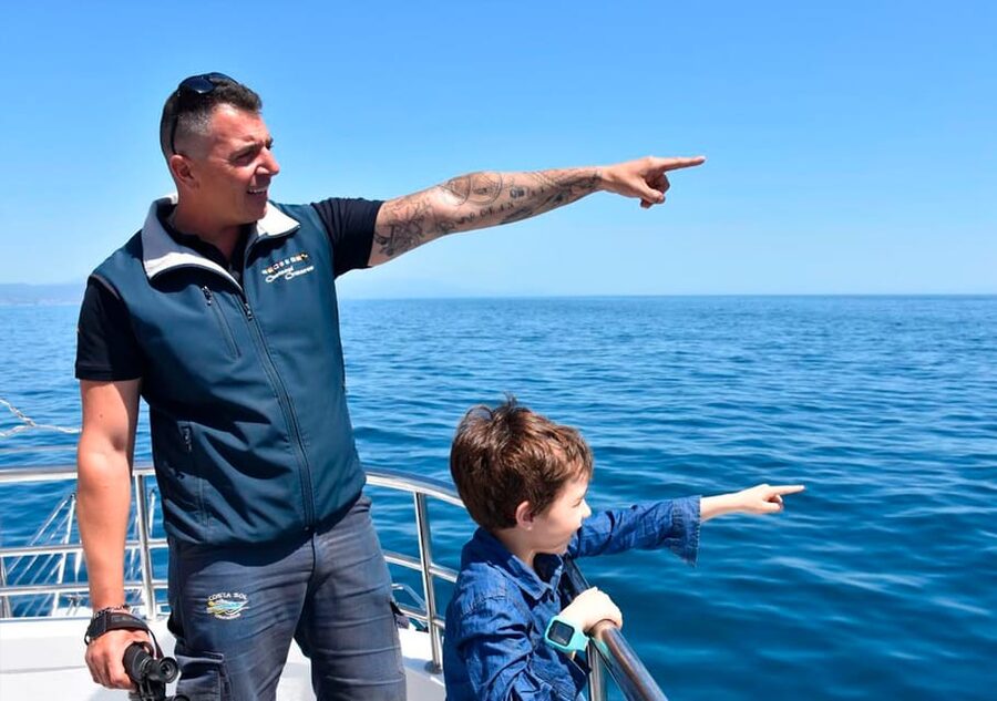 Benalmadena: Dolphin Watching Boat Tour - A short cruise with a wild-card payoff