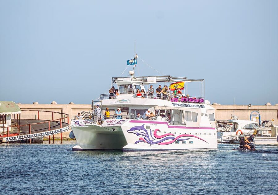 Benalmadena: Dolphin Watching Boat Tour - Comfort on the New Magic