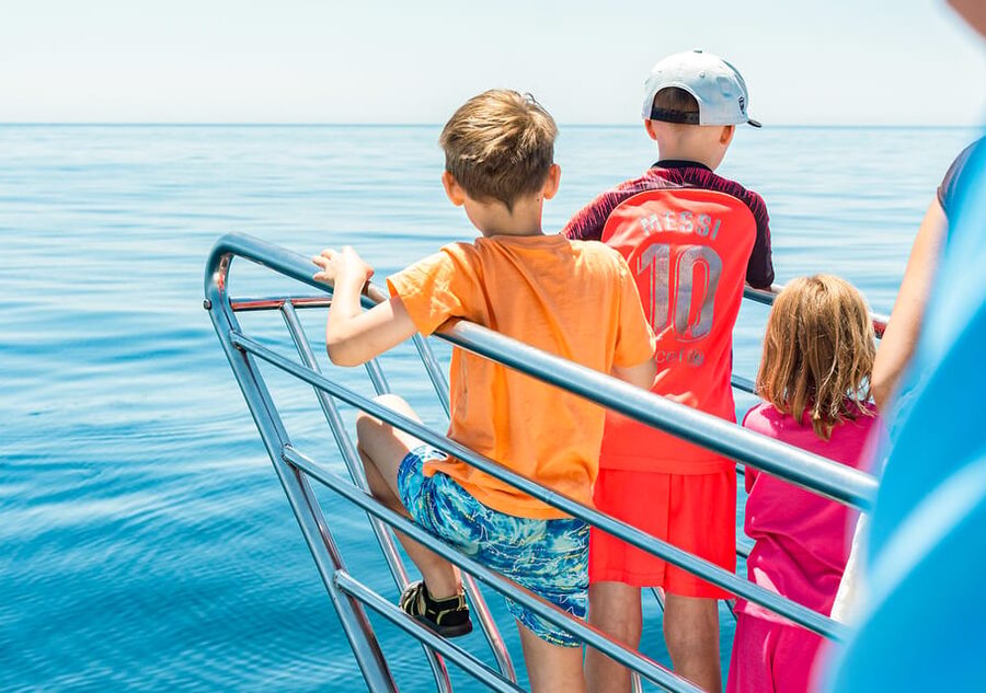 Benalmadena: Dolphin Watching Boat Tour - Sea conditions, timing and what to bring