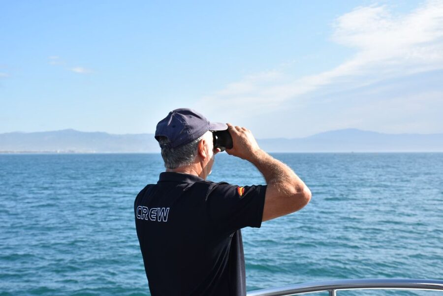 Benalmadena: Dolphin Watching Boat Tour - FAQ