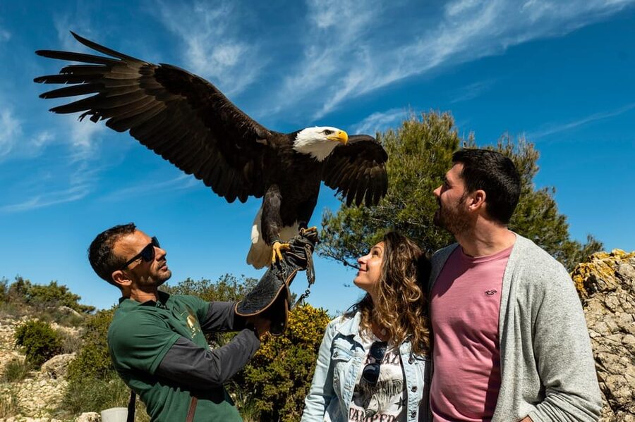 Benalmádena: Mount Calamorro Cable Car Ticket - Should you book the cable car?