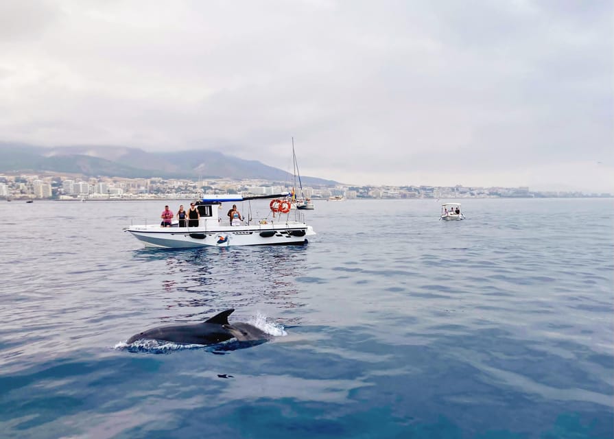 Benalmadena: Private Boat Trip with Drinks & Snacks - Leaving Benalmadena’s marina