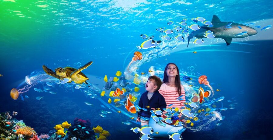 Benalmádena: Sea Life Benalmádena Premium Entry Ticket - What the $26 Premium ticket gets you