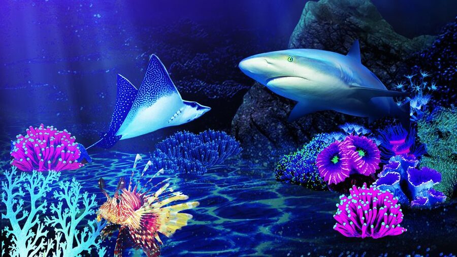 Benalmádena: Sea Life Benalmádena Premium Entry Ticket - Planning your stop at Puerto Marina