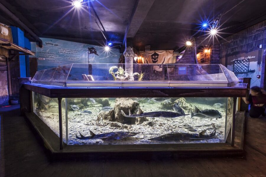 Benalmádena: Sea Life Benalmádena Premium Entry Ticket - Who will enjoy Sea Life Benalmádena most