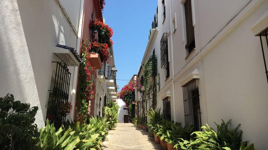 Best of Málaga: Private Walking Tour with a Local - What $30 per person buys