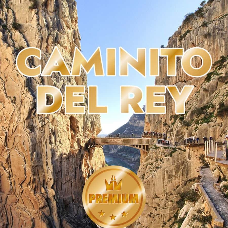 Caminito del Rey from Malaga all included - From Málaga, the day begins with an easy pickup