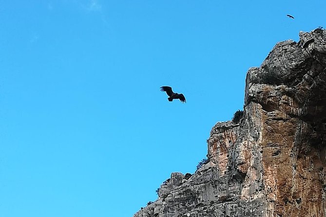 Caminito del Rey Trekking Walkway - Who should book this guided walk?