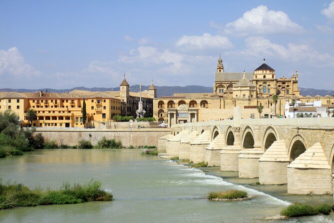 Cordoba Tour with Mosque, Synagogue and Patios from Malaga - Timing, language and meeting-point care