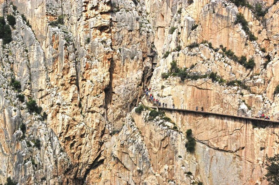 Costa del Sol: Caminito del Rey Guided Trip - What the price covers, and where value depends on your choice