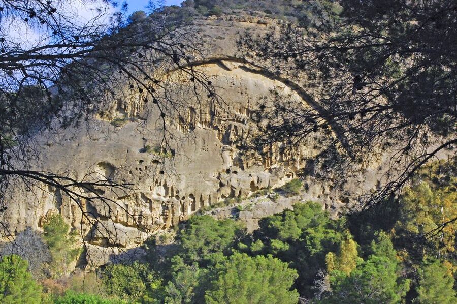 Costa del Sol: Caminito del Rey Guided Trip - Who will enjoy this guided walk