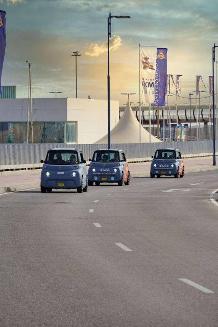 Cruise Terminal Pickup: Málaga in 2 Hours by Electric Car - The guide and audio make the route easier to follow
