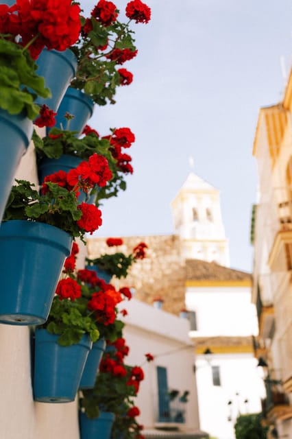 Discover Marbella's Old Town with five-star private tour - Olive oil, a local taste with a practical caveat