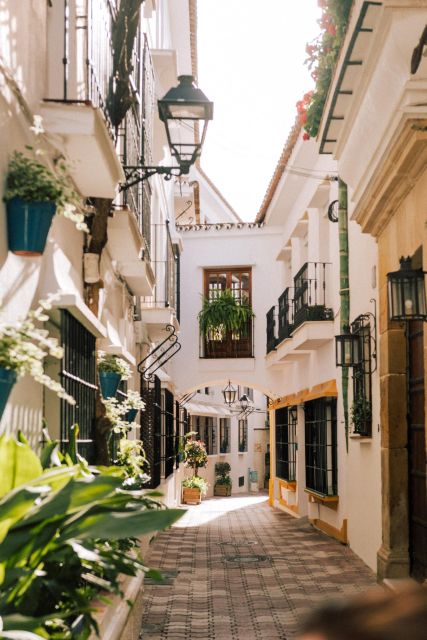 Discover Marbella's Old Town with five-star private tour - Who should book this walk?