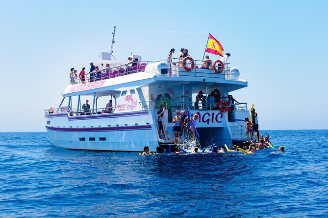 Dolphin Sightseeing Boat Tour from Benalmadena - Sea conditions, comfort and value