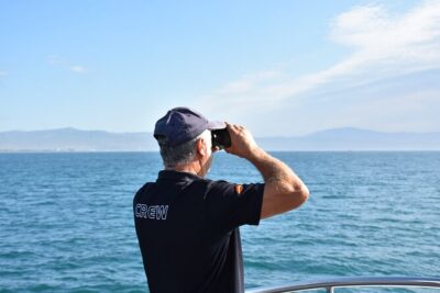 Dolphin Sightseeing Boat Tour from Benalmadena