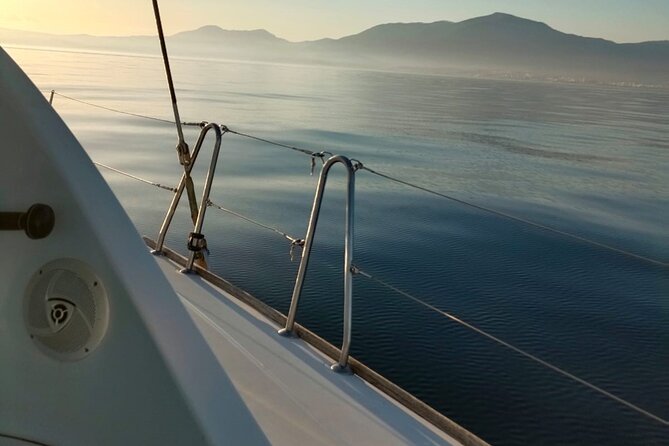 Dolphin trips on a catamaran - Searching for dolphins offshore