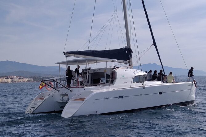Dolphin trips on a catamaran - A comfortable two hours, with a few extras