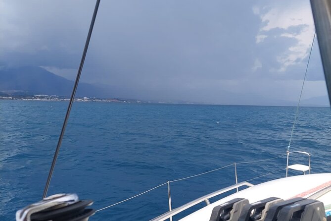 Dolphin trips on a catamaran - What the price gets you