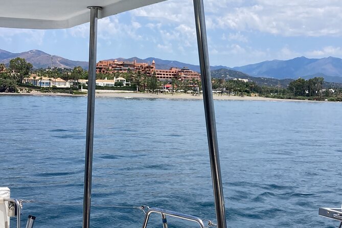 Dolphin trips on a catamaran - Should you book the Estepona dolphin trip?