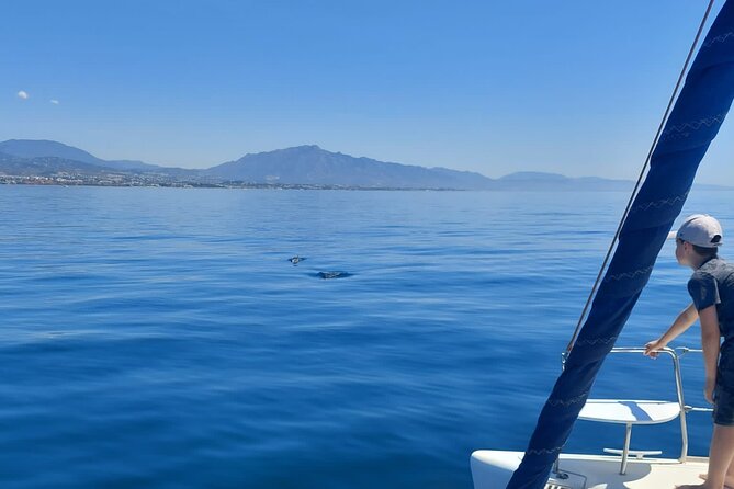 Dolphin trips on a catamaran - The swim stop and time at sea