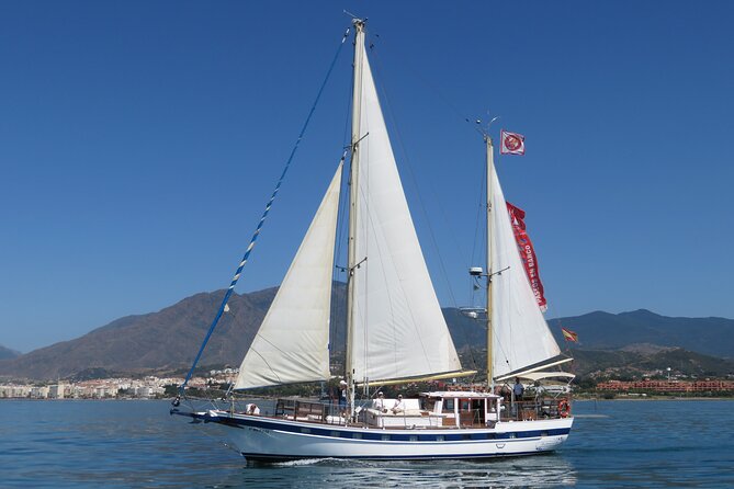Dolphin Watching Adventure in Estepona Bay - A dolphin trip that begins in Estepona