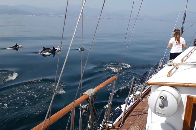 Dolphin Watching Adventure in Estepona Bay - Getting to the meeting point