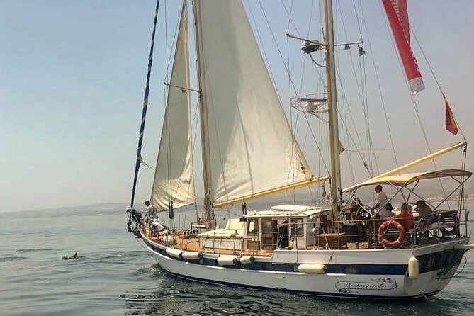 Dolphin Watching Adventure in Estepona Bay - Leaving the marina and scanning the bay
