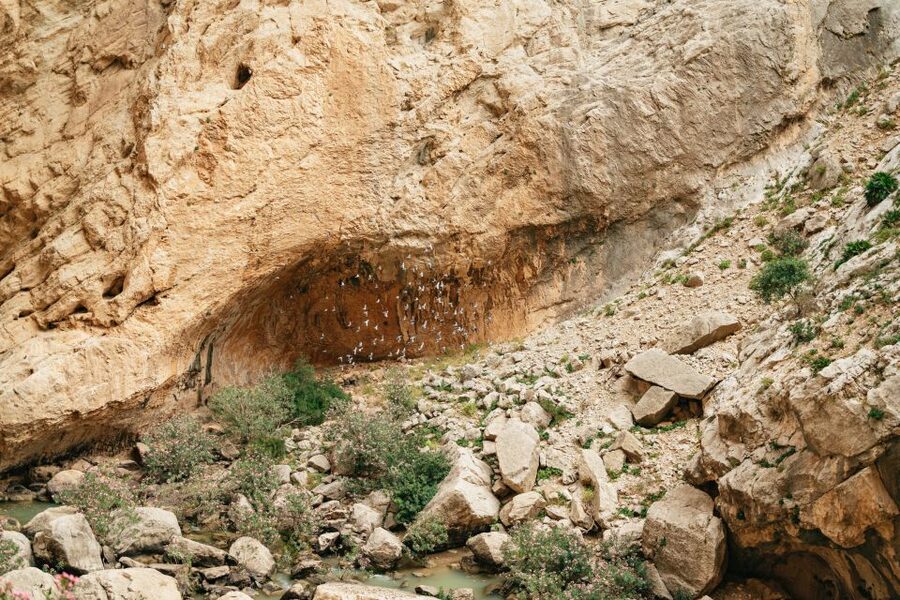 El Chorro: Caminito del Rey Guided Tour with Shuttle Bus - Weather, timing, and what to pack