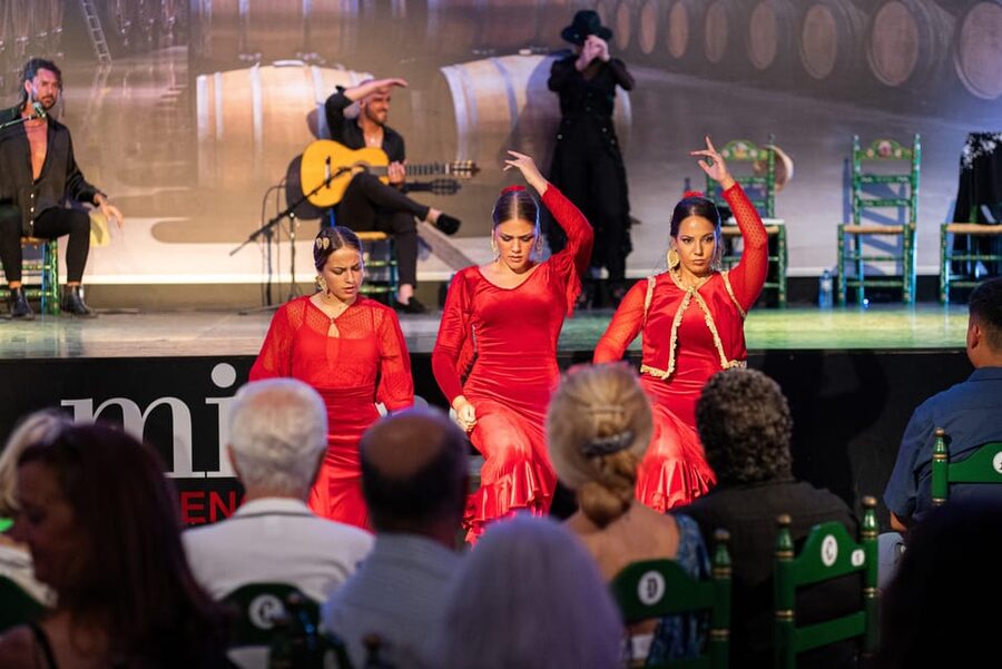 Estepona: Andalusian Flamenco Show Entry Ticket with Drink - A close look at Andalusian flamenco