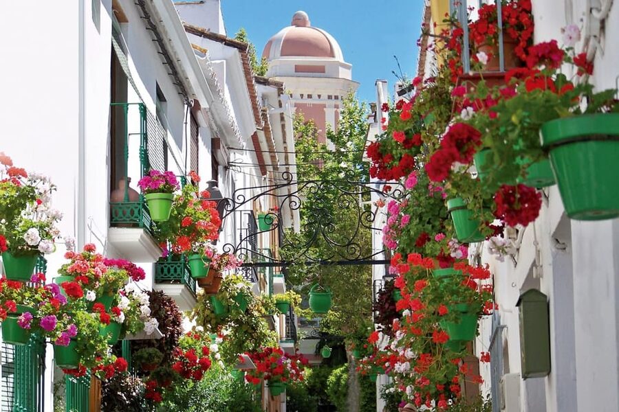 Estepona best kept secrets: City bike guided tour - A gentle pace, with practical extras