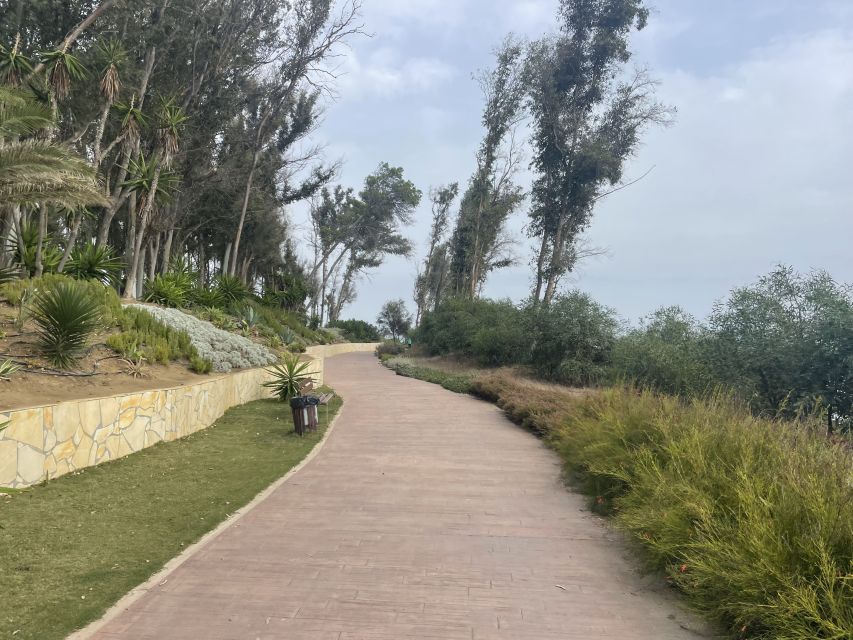 Estepona Bike Tour - What the guide adds to the ride
