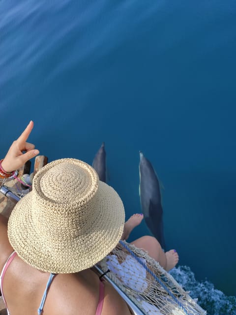 Estepona: Dolphin Search Boat Trip with Drink and Snacks - Choosing a departure time and setting expectations