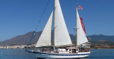 Estepona: Dolphin Watching Sailboat Cruise with Drink