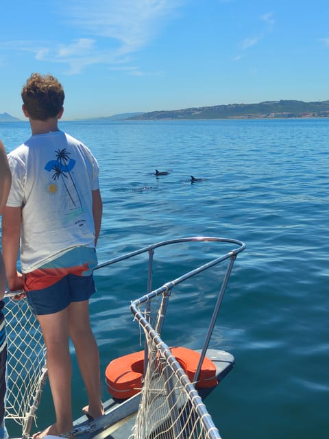 Estepona: Dolphins Searching Sea Cruise with Drink & Snacks - FAQ