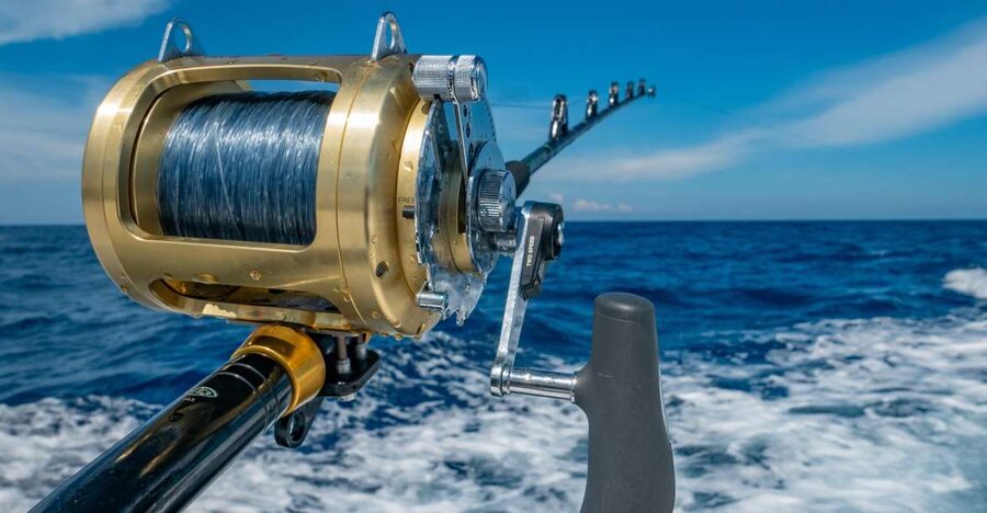 Estepona: Fishing Tour StartFisher 1060 - What the crew adds to the outing