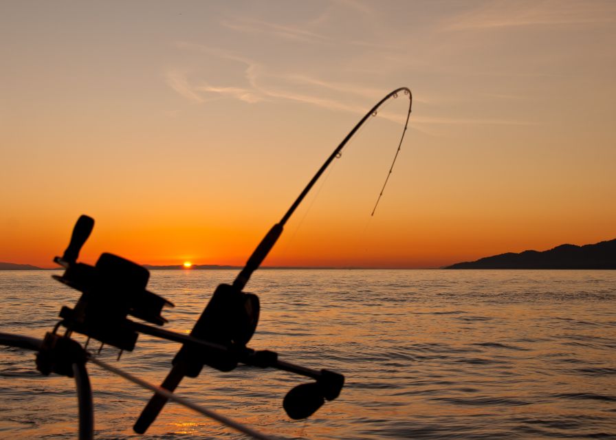 Estepona: Fishing Tour StartFisher 1060 - How to make the most of two to four hours