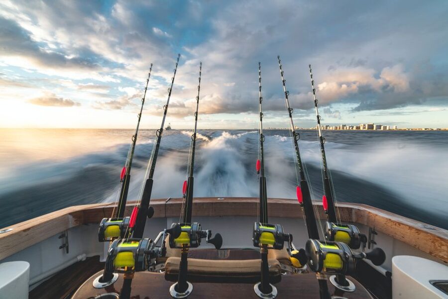 Estepona: Fishing Tour StartFisher 1060 - Who should book this fishing trip