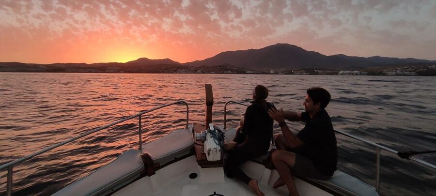 Estepona: Sunset boat trip & Cava & Tapa - Dolphin watching and the chance to swim