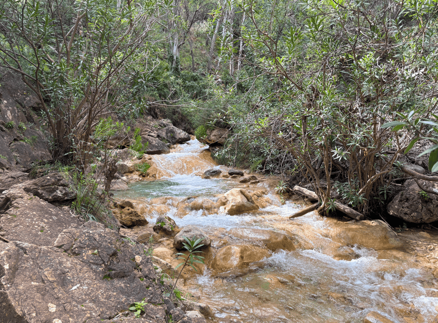 Explore Marbella's Nature: Guided Hiking And Foraging Trip - At the hermitage ruins, history meets open country