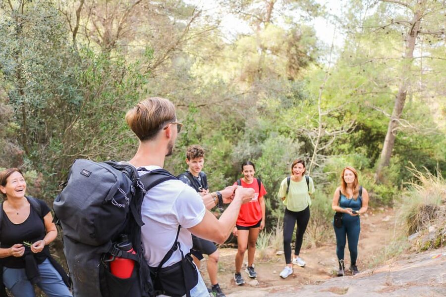 Explore Marbella's Nature: Guided Hiking And Foraging Trip - The return walk and the shape of the day